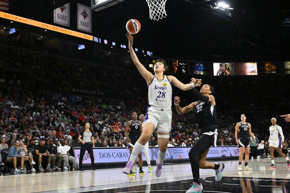 勒沃库森正 勒沃库森正